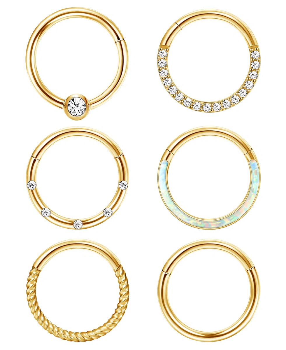 ADRAMATA 6 PCS 16G 18G Septum Piercing per Donna Uomo - Acciaio Chirurgico Naso Helix Daith Cartilagine Orecchini Labbra Anelli Nostril Set