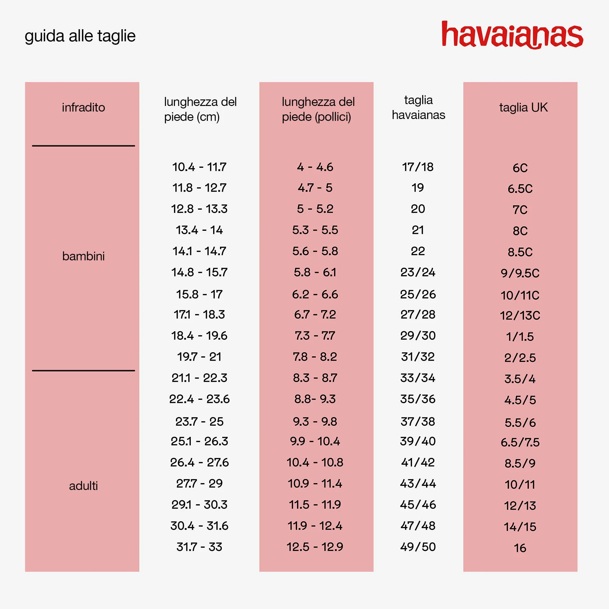 Havaianas Aloha Uomo Infradito